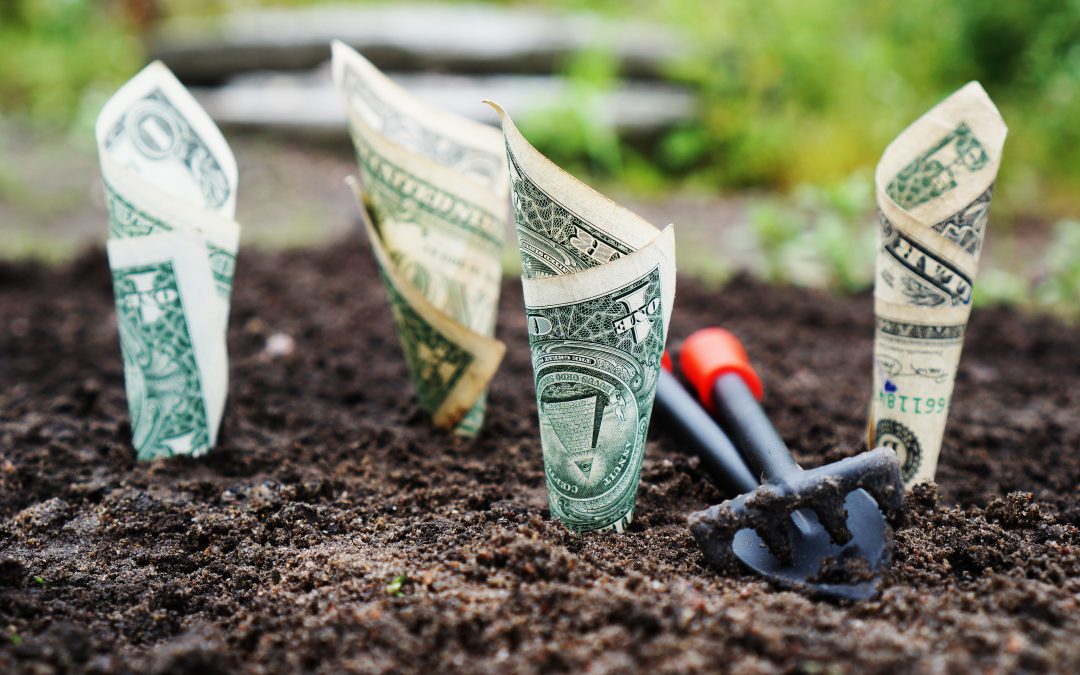 How To Grow Your Small Business Without Spending A Lot