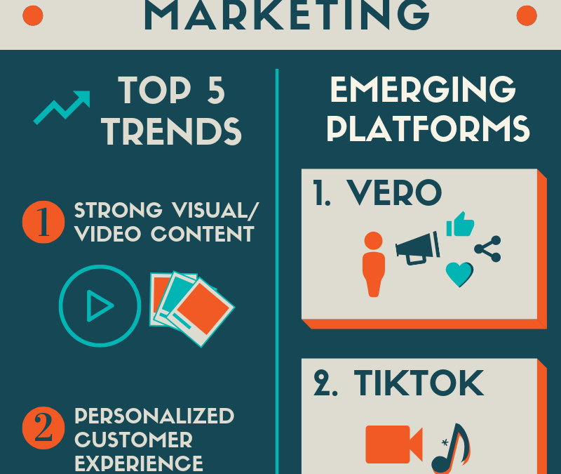 Infographic: Social Media Trends and Platforms